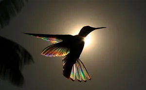 Best Bird Photography Of 2020 Has Announced Its 30 Stunning Winners