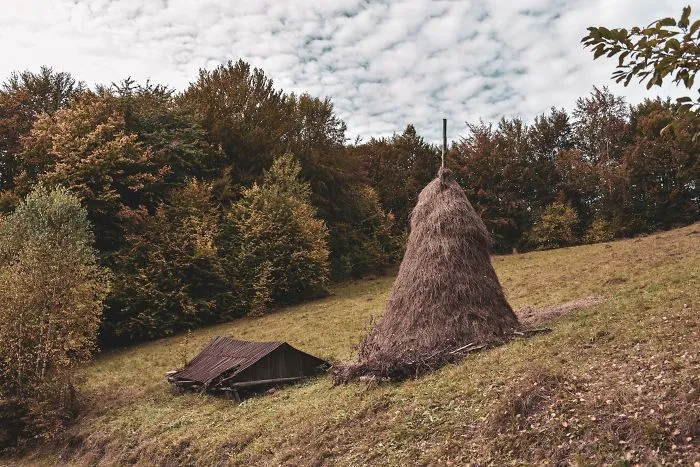 The Ukrainian Carpathians In Autumn Inspired Me To Capture These Photographs (38 Pics)