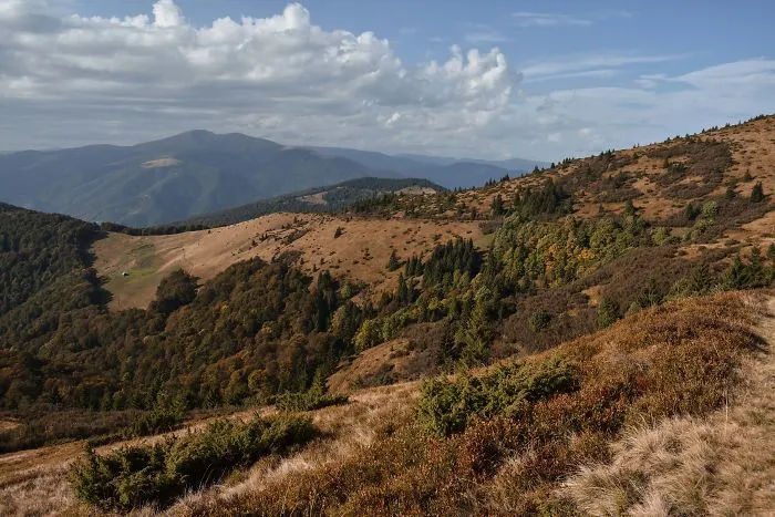 The Ukrainian Carpathians In Autumn Inspired Me To Capture These Photographs (38 Pics)
