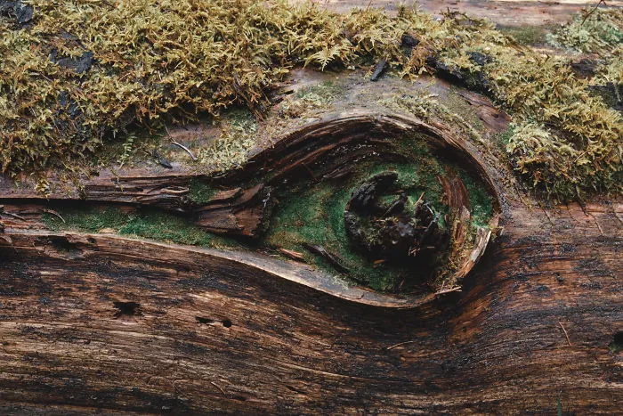 The Ukrainian Carpathians In Autumn Inspired Me To Capture These Photographs (38 Pics)