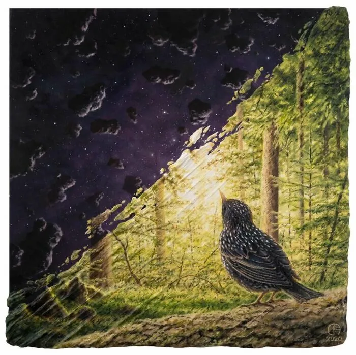 Starling