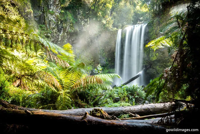 Great Otway 