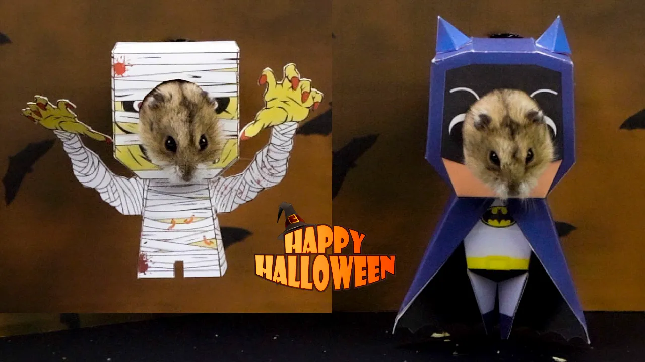 How To Make Hamsters' Halloween Costumes
