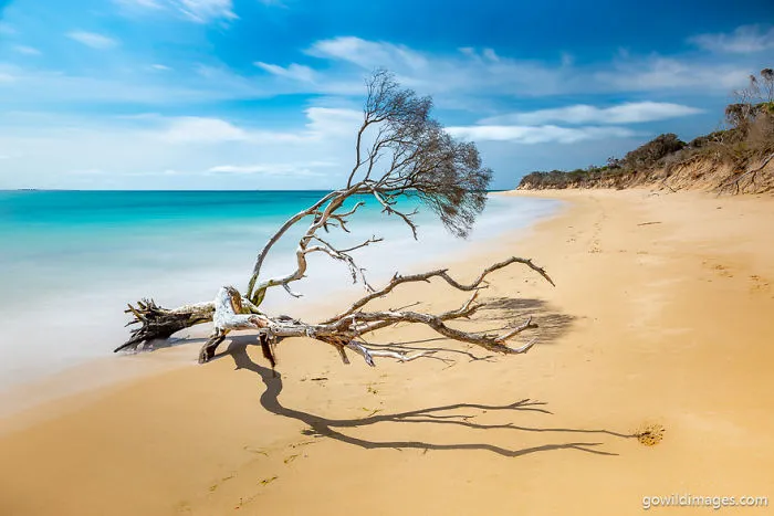 Point Nepean