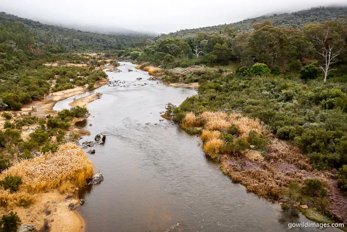 Snowy River
