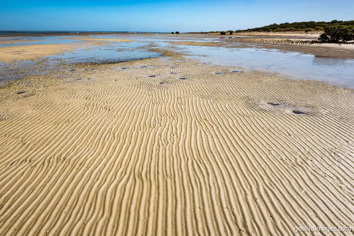French Island