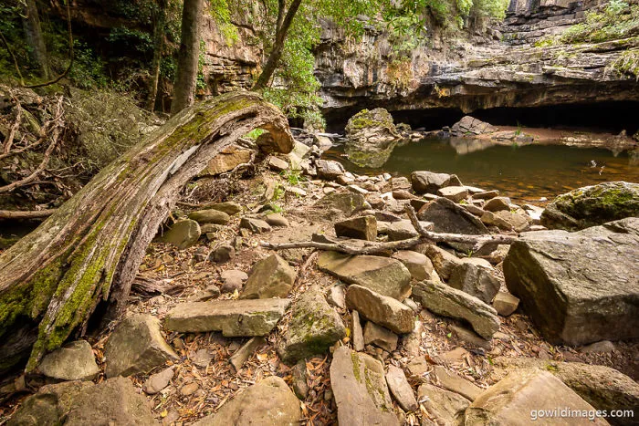 Mitchell River