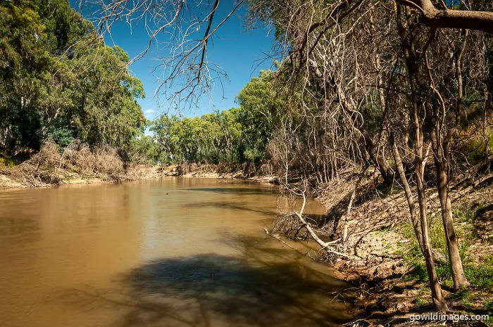 Lower Goulburn