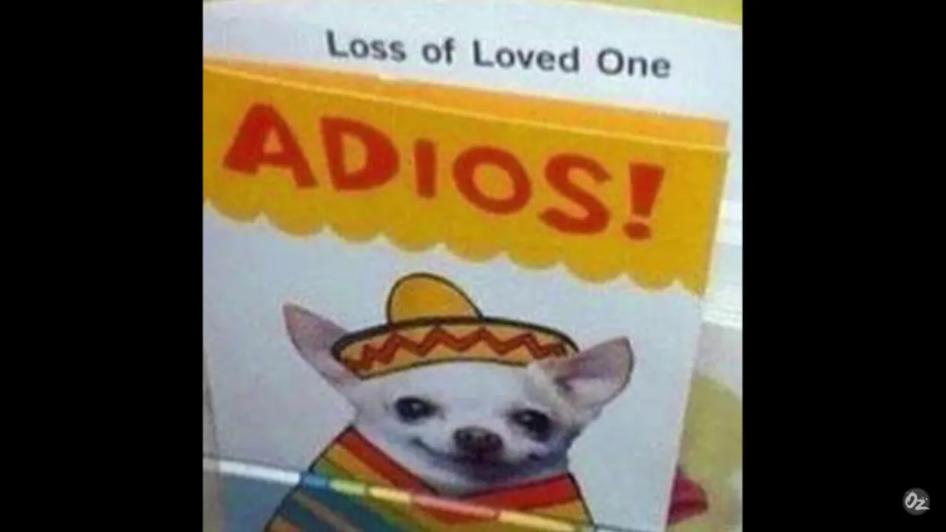 I Spent 6 Hours Looking On Reddit And Here Are Some Of The Funniest Posts I Found.