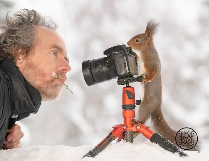Red Squirrels Interact With My Props While I Photograph Them, And They Make The Cutest Pics (30 New Pics)