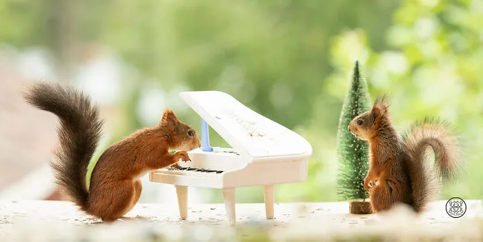 Red Squirrels Interact With My Props While I Photograph Them, And They Make The Cutest Pics (30 New Pics)