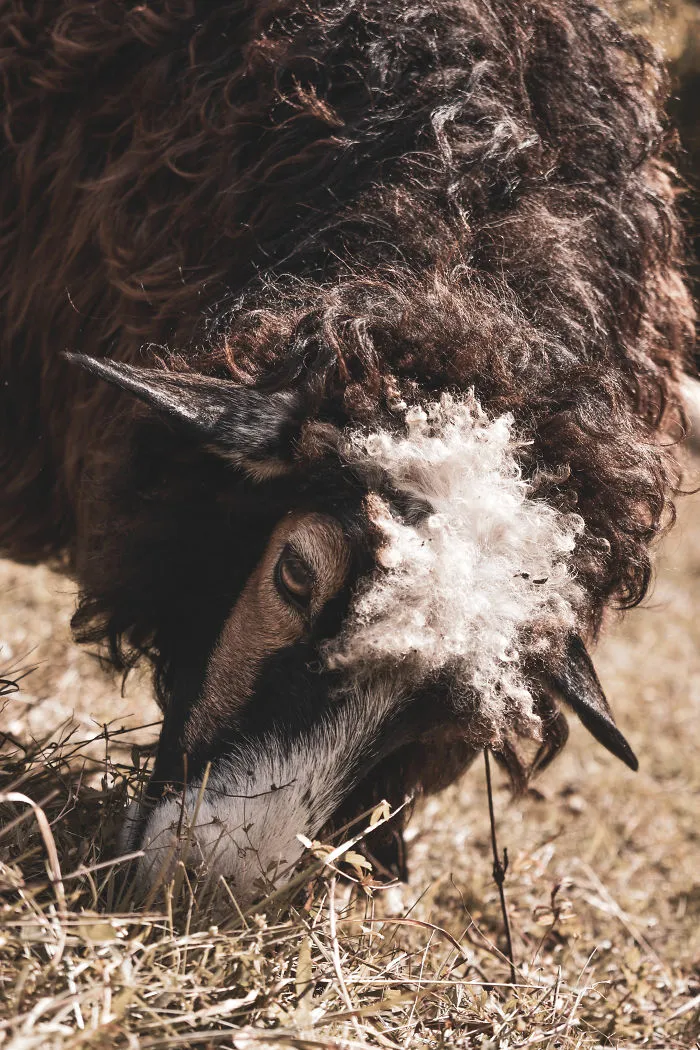 The Ukrainian Carpathians In Autumn Inspired Me To Capture These Photographs (38 Pics)