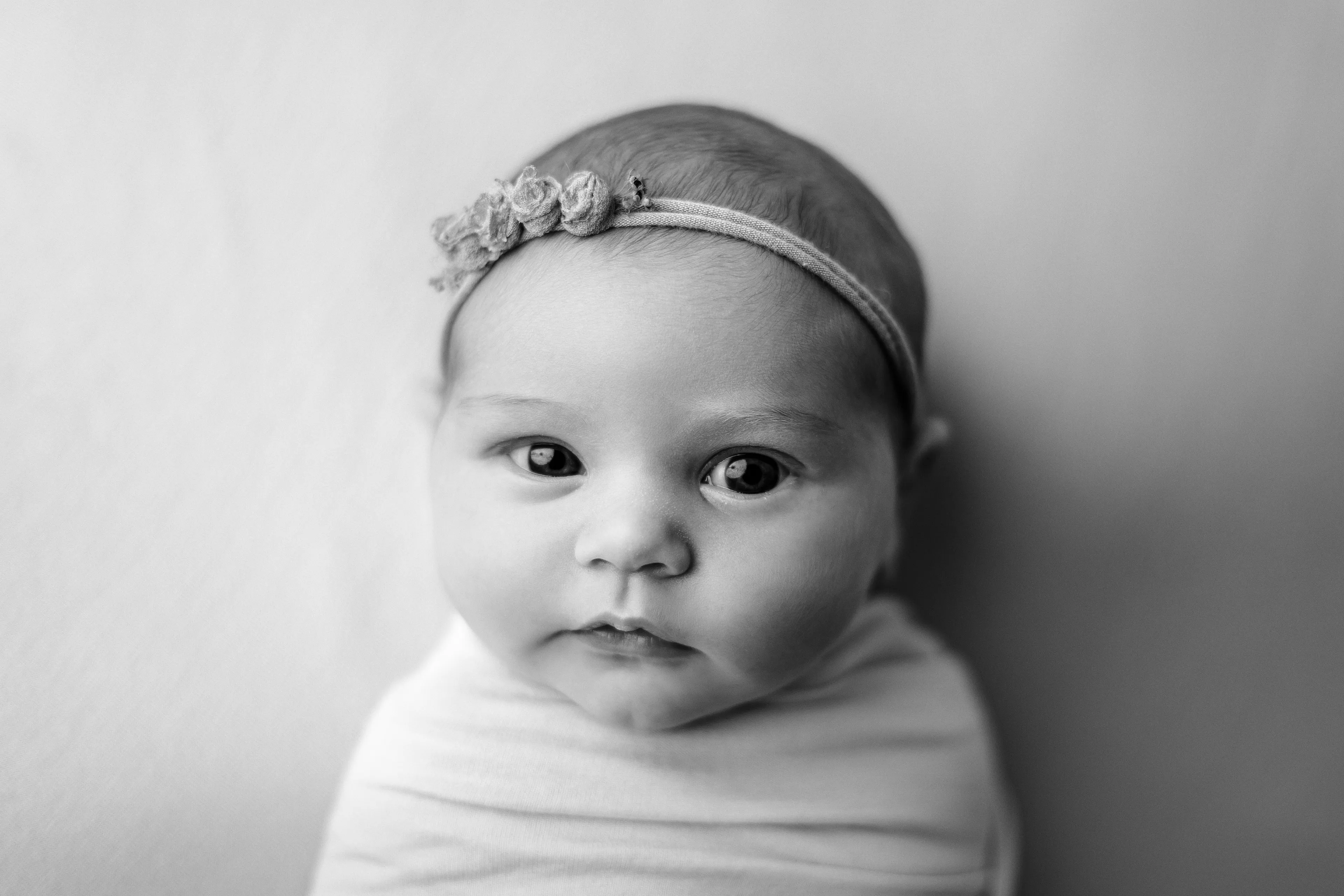 Gorgeous Newborn Baby Girl In Chicago