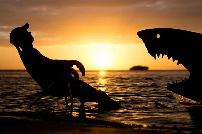 The Shallows