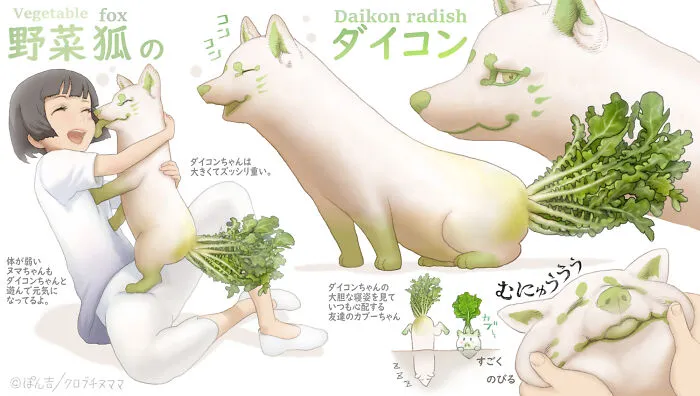Daikon Radish Fox