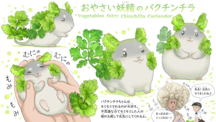Coriander Chinchilla