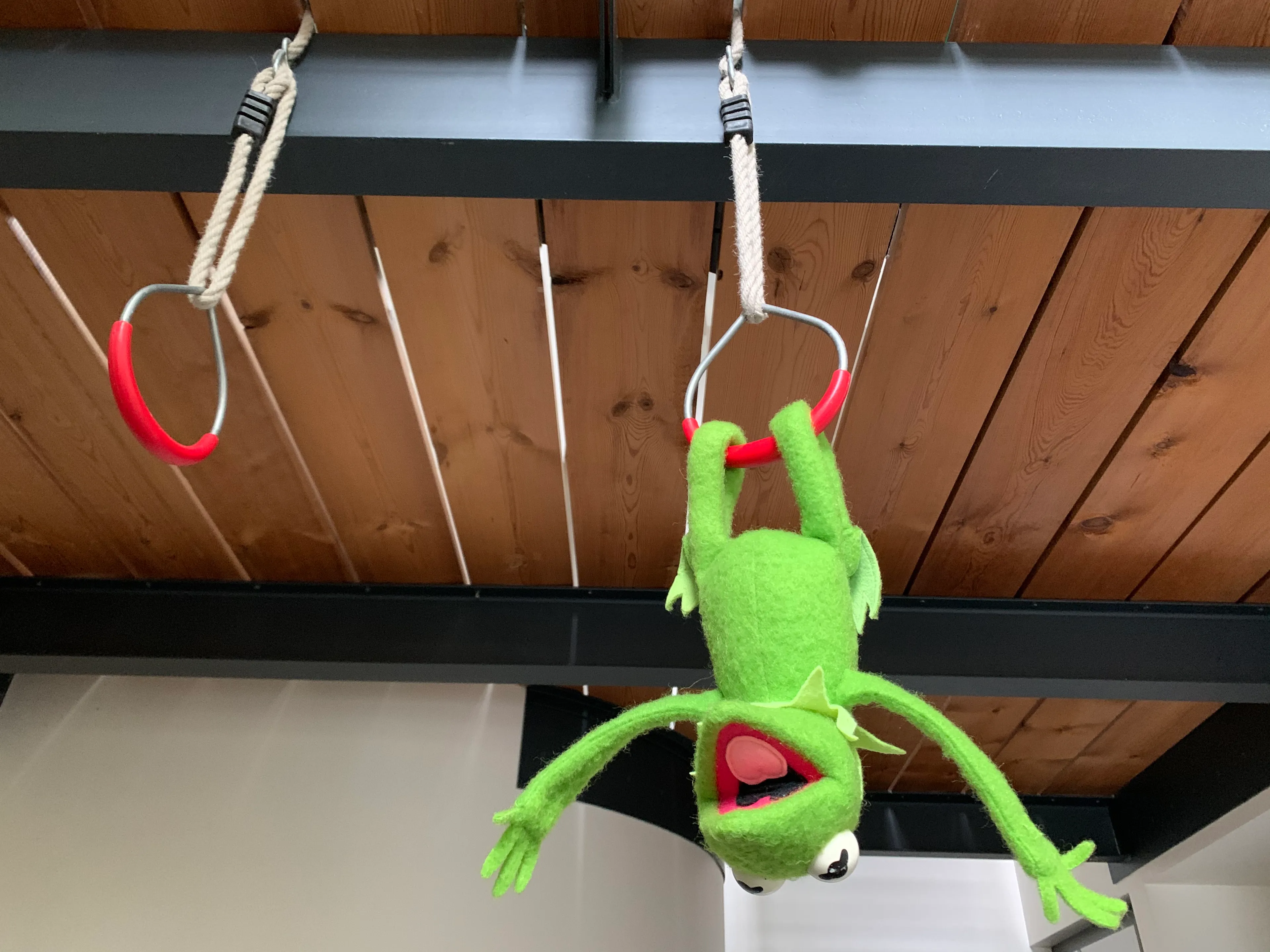 Kermit Took Over My Home Office During Covid-19 Pandemia