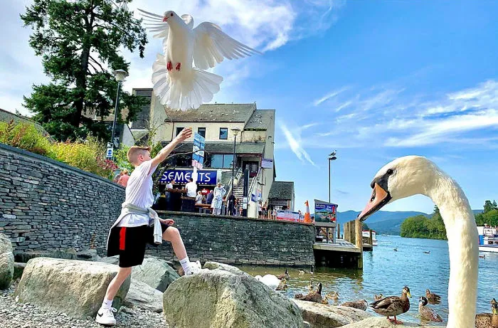 Bird Man