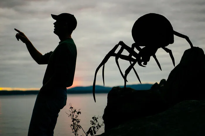 The Spider