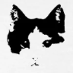 Alloydog
