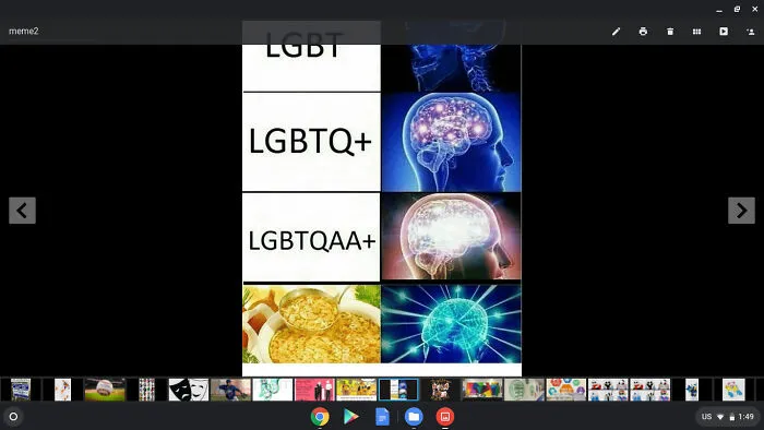 Lgbt Facts
