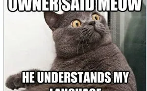 Hey Pandas, Share Your Funniest Or Favorite Meme With Us (Closed)