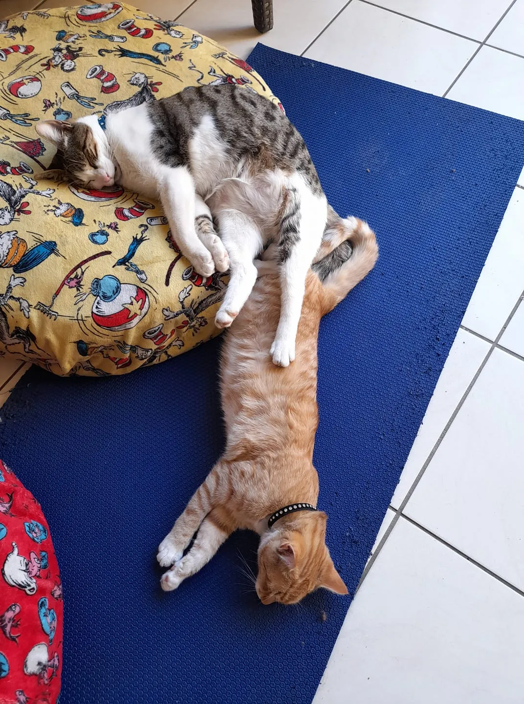 Oh Baby, Sleeping Away