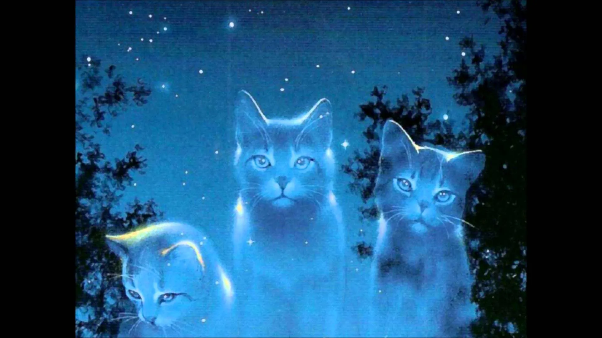 Who's Your Favorite Warrior Cat And Why?