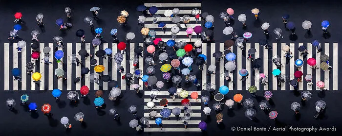 First Place In Patterns Category: Umbrella Crossing