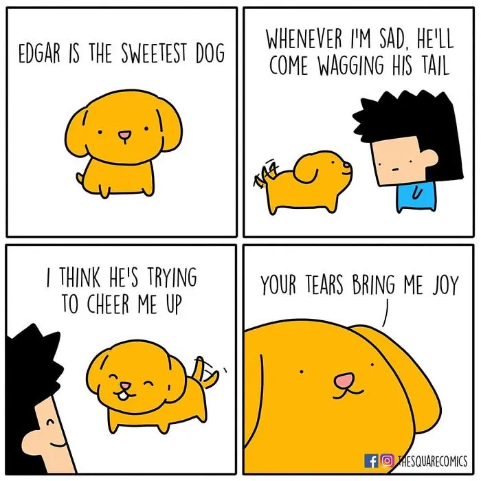 50 Comics That People With Dark Humor Will Probably Like By Square Comics (New Pics)