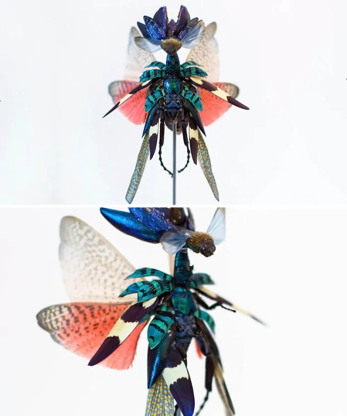 Here Are 18 Surreal Bug Fairies Made From Dead Insects Made By This Amsterdam-Based Artist