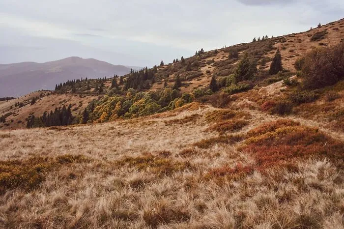 The Ukrainian Carpathians In Autumn Inspired Me To Capture These Photographs (38 Pics)
