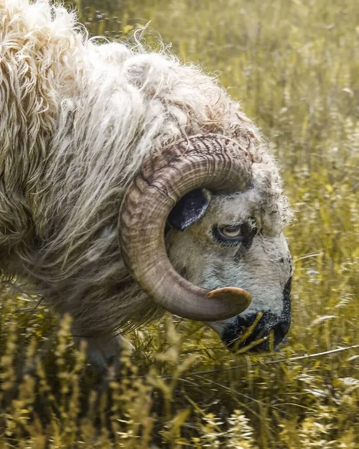 The Ukrainian Carpathians In Autumn Inspired Me To Capture These Photographs (38 Pics)