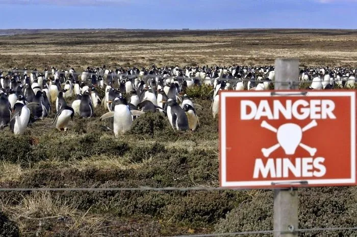 Weird And Disturbing Animal Facts