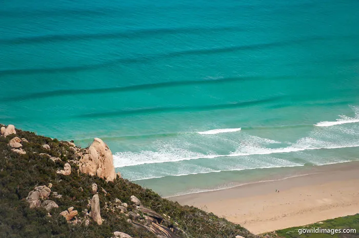 Wilsons Promontory 
