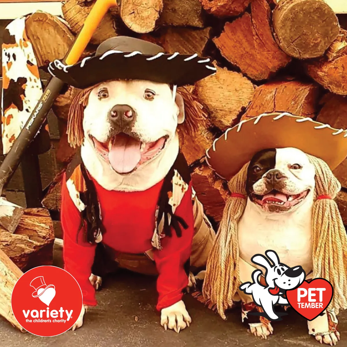 The Cutest Pics Ever From Petember -
australia’s Charity Dog Fashion Competition