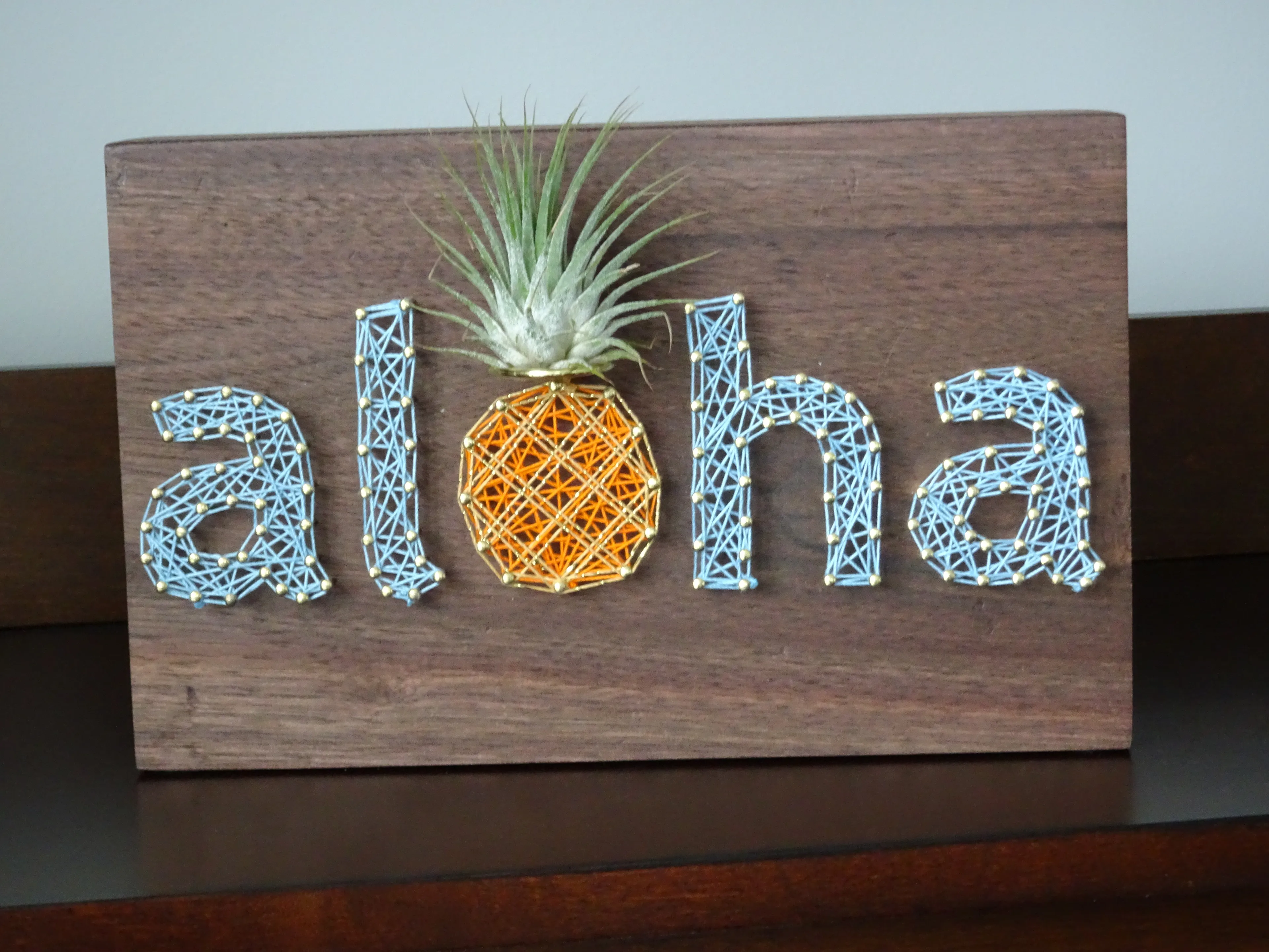 Freaking Adorable Air Plant Holders