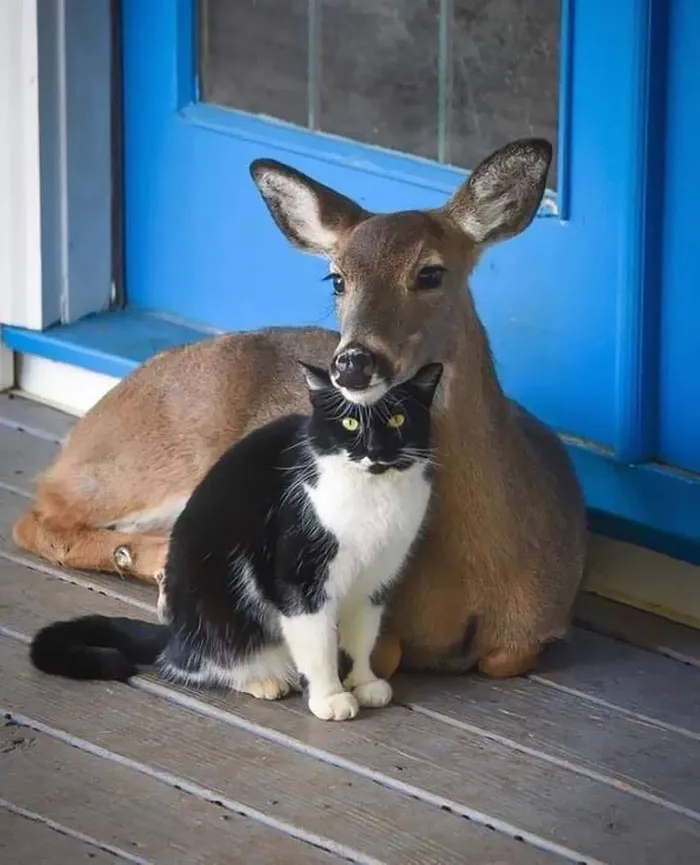 Family Isn't Always Blood