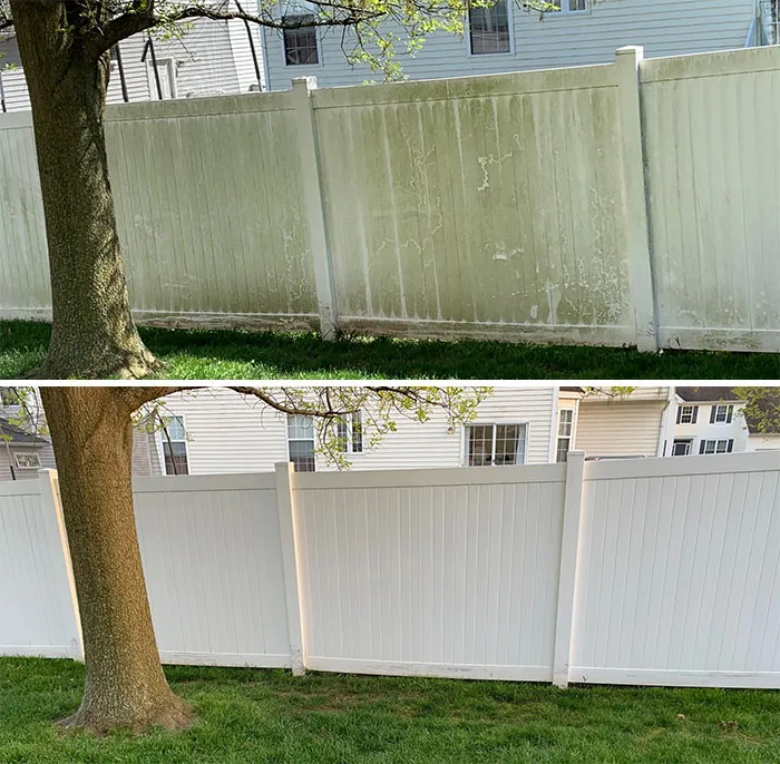 Today The Fence, Tomorrow The World
