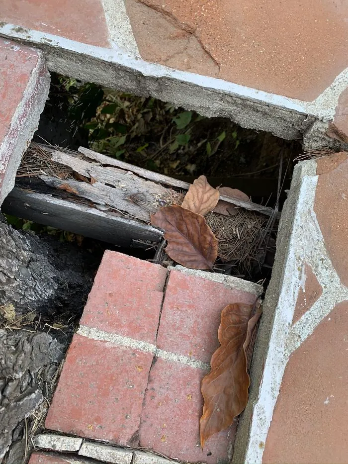 30 Times Structural Inspectors Found Surprising Things