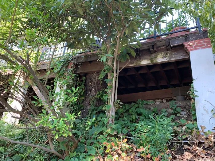 30 Times Structural Inspectors Found Surprising Things
