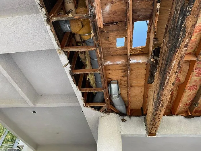 30 Times Structural Inspectors Found Surprising Things