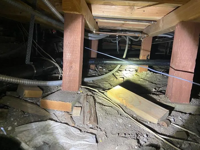 30 Times Structural Inspectors Found Surprising Things
