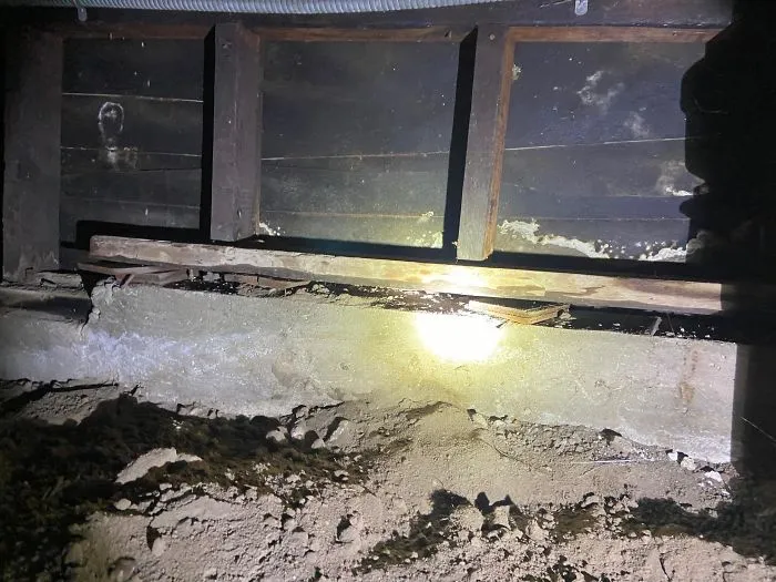 30 Times Structural Inspectors Found Surprising Things