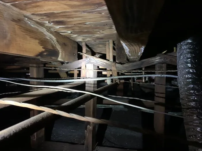 30 Times Structural Inspectors Found Surprising Things