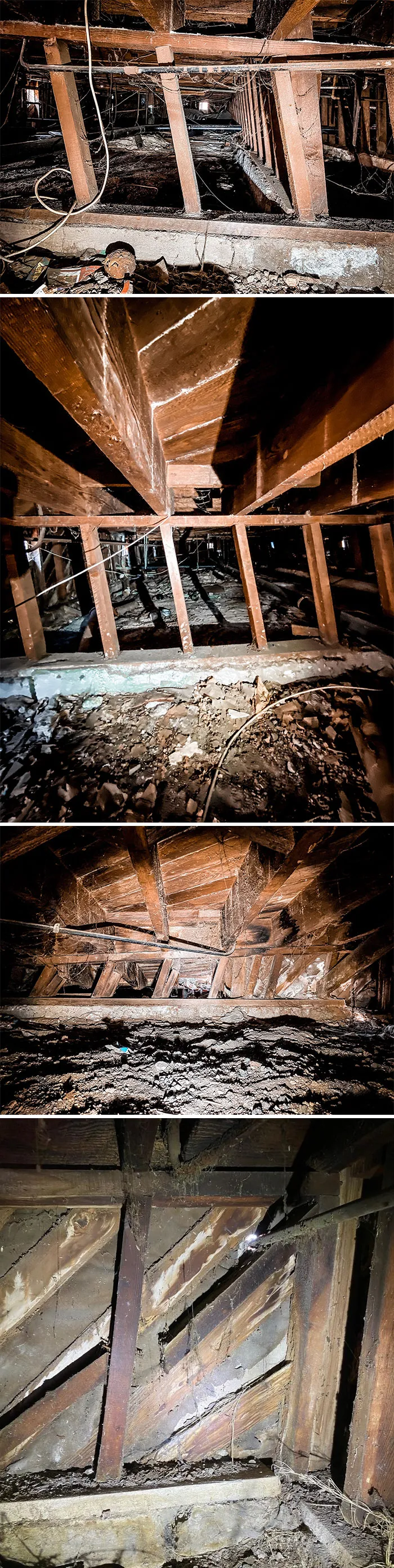 30 Times Structural Inspectors Found Surprising Things