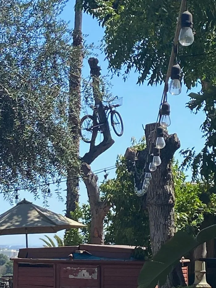 30 Times Structural Inspectors Found Surprising Things