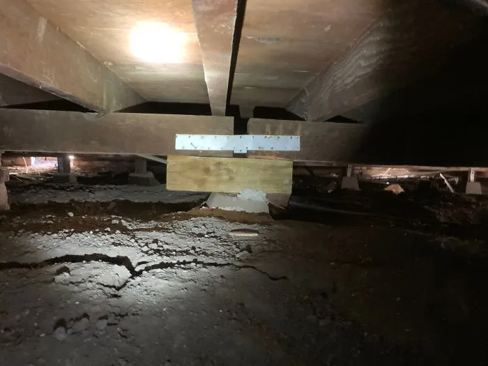 30 Times Structural Inspectors Found Surprising Things