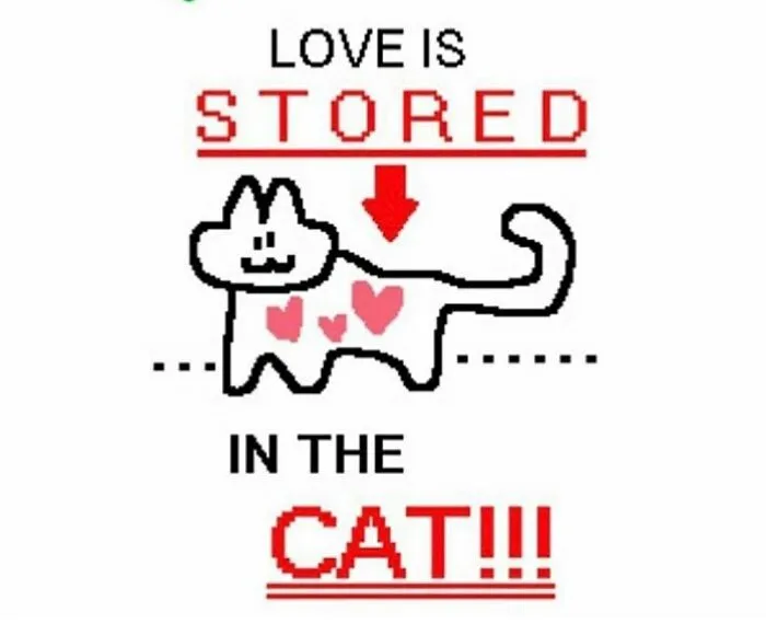 Its Not Exactly Funny... But Its True