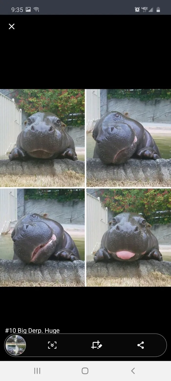 Adorable😁